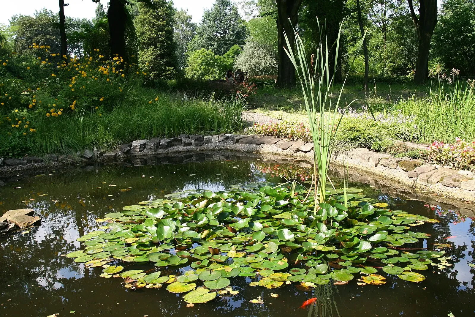 Ogród Botaniczny, atrakcja w okolicy apartamentu Helenka Modern w Zabrzu